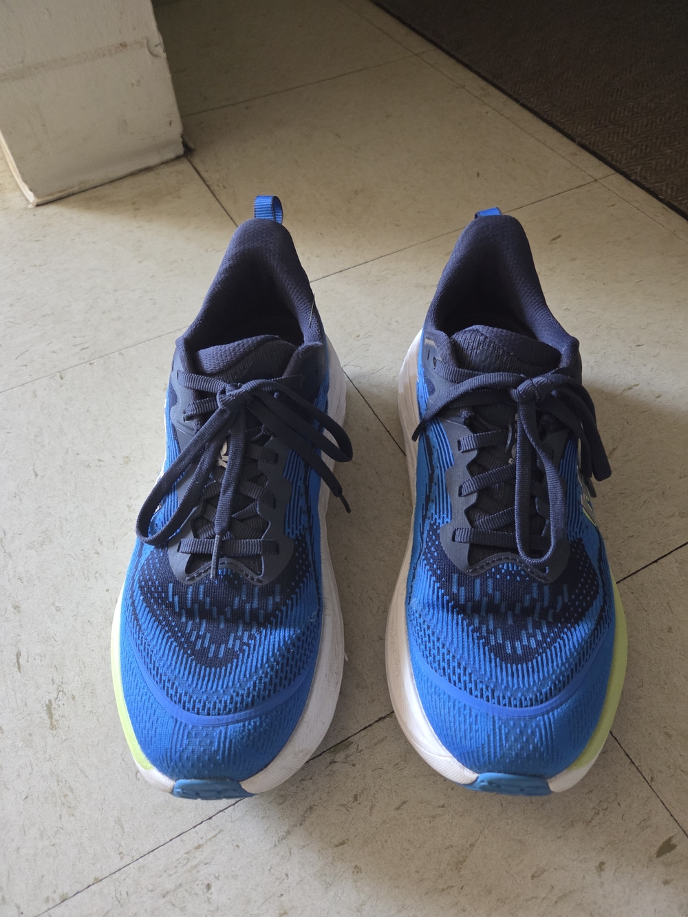 Hoka Men's Skyflow